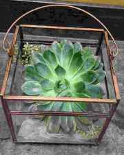45.-Prisms-2-sizes_Additional-cost-wPP-FloralCube-Prism-with-Succulent