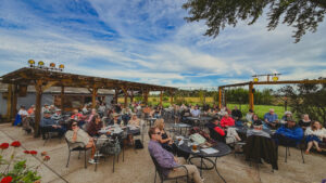 Sunset on the Patio Festival 2026