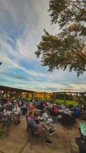 Sunset on the Patio Festival 2026